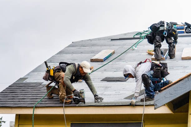 Professional Roof Inspection technician working in Meridale, NY